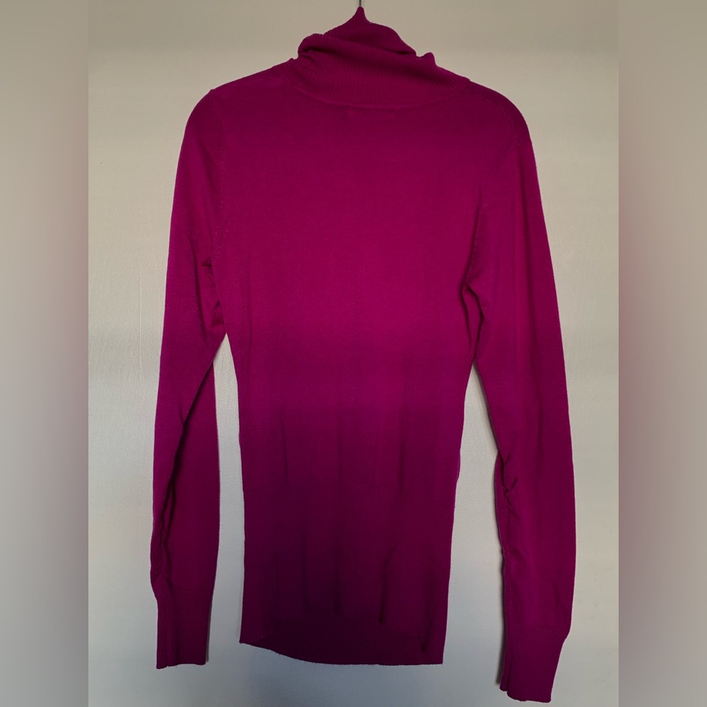 Purple Sweater/Dress